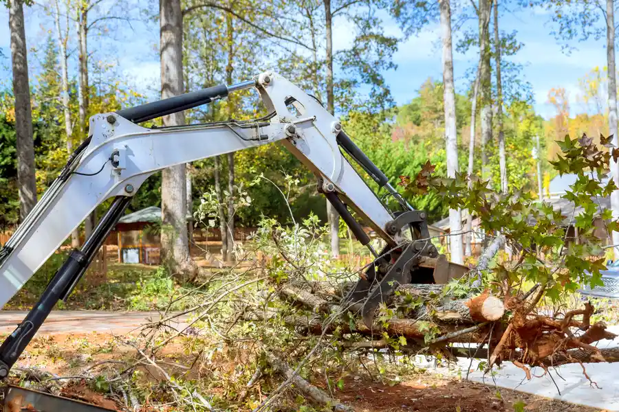 Premium Land Clearing Tyler, TX Premium Land Clearing Tyler, TX